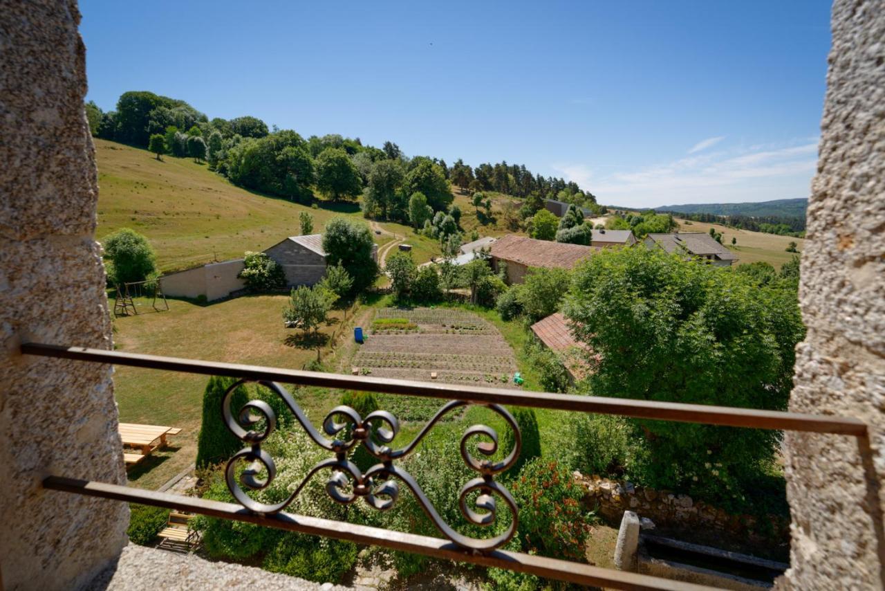 Le Petit Chateau Du Villard Le Malzieu-Forain Dış mekan fotoğraf